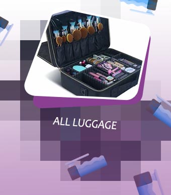 Make up luggage
